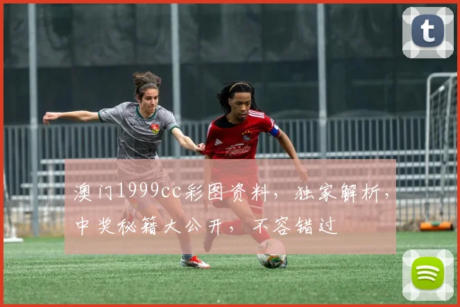澳门1999cc彩图资料，独家解析，中奖秘籍大公开，不容错过