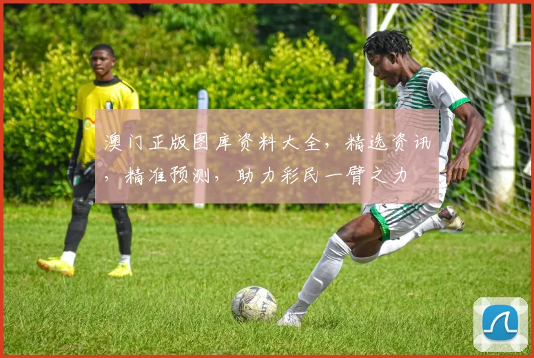 澳门正版图库资料大全，精选资讯，精准预测，助力彩民一臂之力