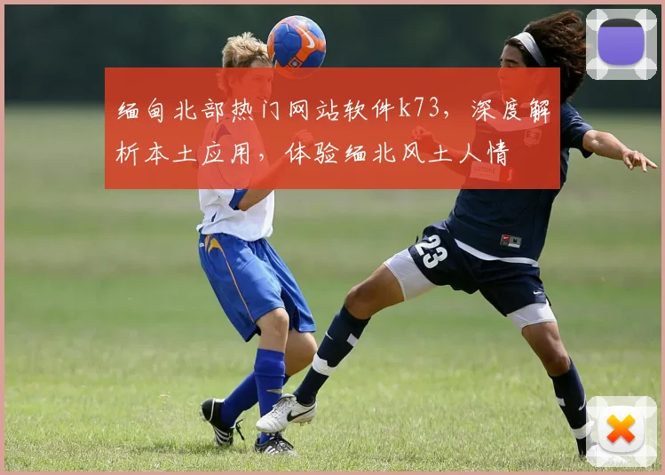 缅甸北部热门网站软件k73，深度解析本土应用，体验缅北风土人情